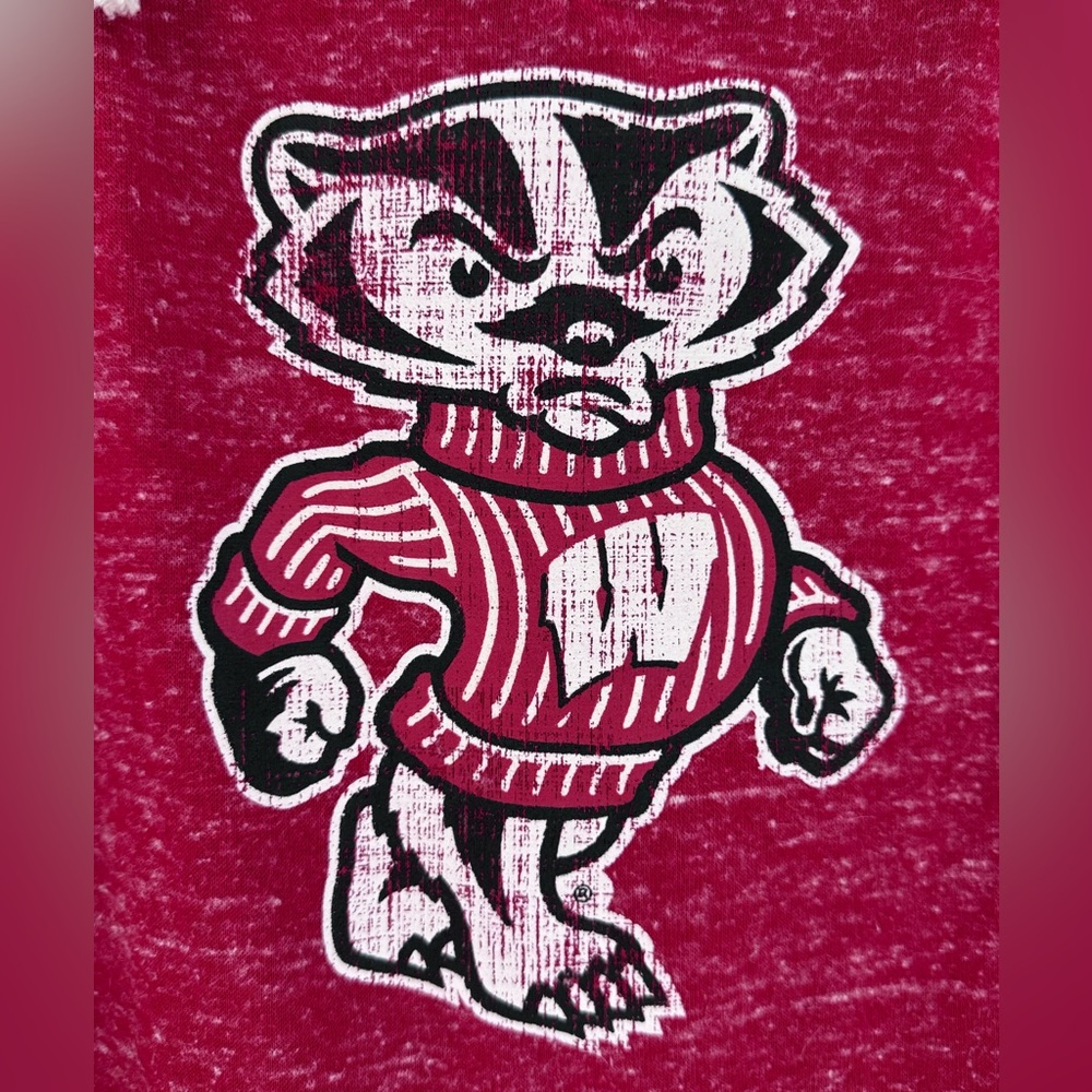 Wisconsin Badger Women’s XL V-Neck hoodie - Picture 3 of 9